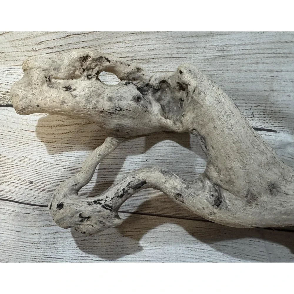 Vtg Piece of Driftwood that looks like a Dinosaur or Snake 17